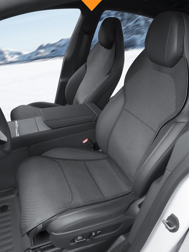 Cuscino per sedile auto Tesla  - Mesh Back Cushion recensione e prezzo